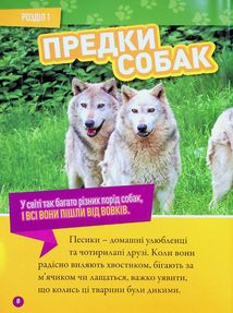 Гав! 100 цікавих фактів про собак . Image №8