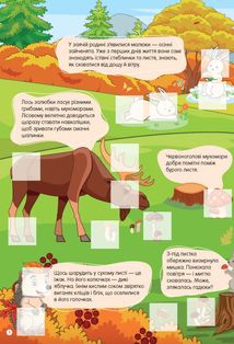 Світ навколо. У лісі. Зображення №3