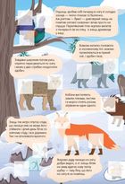 Світ навколо. У лісі. Зображення №5