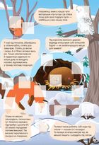 Світ навколо. У лісі. Зображення №6