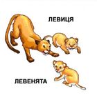 Мами та малюки. Image №6