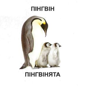 Мами та малюки — Лілія Гуменна, фото 7