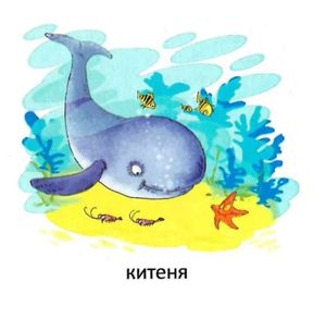 Мешканці морів — фото 10