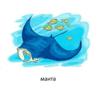 Мешканці морів — фото 7