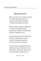 Земля кричить. Шинкують кровʼю війни.... Image №9