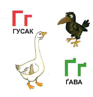 Жива абетка — фото 5