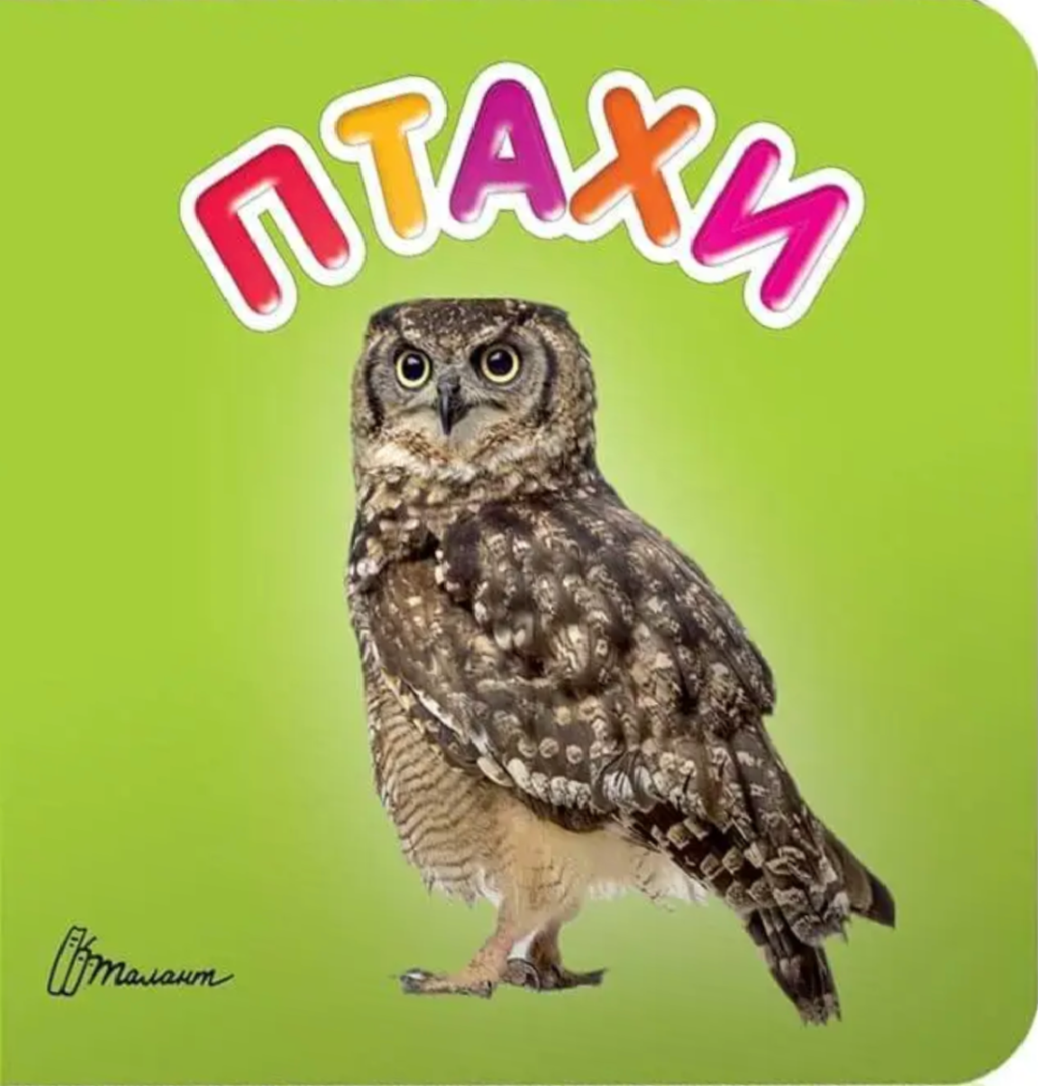Птахи