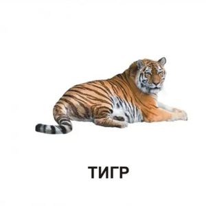 Звірята — фото 6
