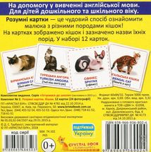 Розумні картки. Кішки. 12 карток. Зображення №2