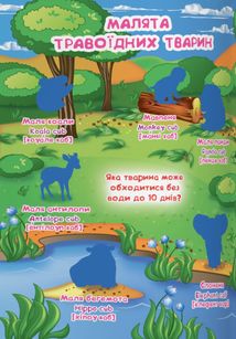 Велика книжка. Розвивальні наліпки. Розумні завдання. Малята Тварини. 3+. Зображення №11