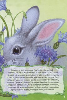 Квіткова абетка . Зображення №10