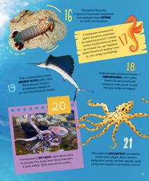 100 цікавих фактів. Тварини. Image №9