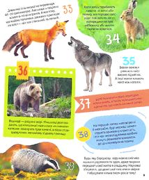 100 цікавих фактів. Тварини. Image №11