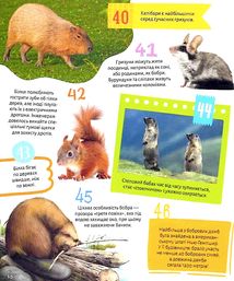 100 цікавих фактів. Тварини. Image №12