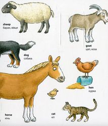 My First English Words. Animals. Тварини. Image №4