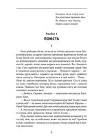 Нескорені. Побратими. Книга 3. Image №5