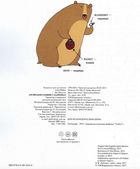 Англійський словник у малюнках. Image №1