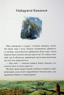 Бакотський скарб . Зображення №3