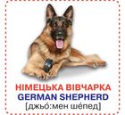 Розумні картки. Англійська мова. Собаки. 12 карток. 0+. Зображення №4