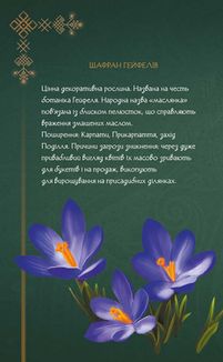 Щоденник Мавки. Літо . Image №3