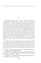 Сузір’я Лебедя. Сонце в Чигирині . Image №3