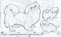 Розмальовка. Тварини в оселі . Image №2