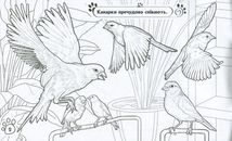 Розмальовка. Тварини в оселі . Image №3