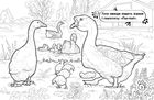 Розмальовка. Тварини на фермі. Image №5