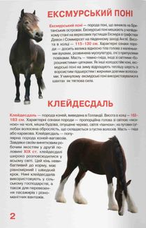 Велика книжка. Коні і поні. Image №5