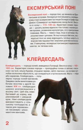 Велика книжка. Коні і поні — Олег Завʼязкін, фото 6