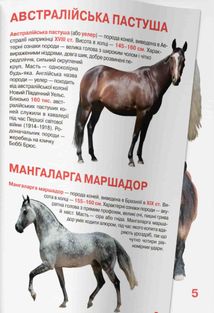 Велика книжка. Коні і поні. Image №6
