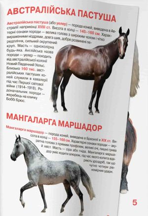Велика книжка. Коні і поні — Олег Завʼязкін, фото 7