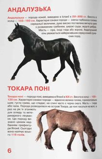 Велика книжка. Коні і поні. Image №7
