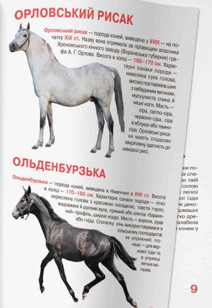 Велика книжка. Коні і поні — Олег Завʼязкін, фото 9