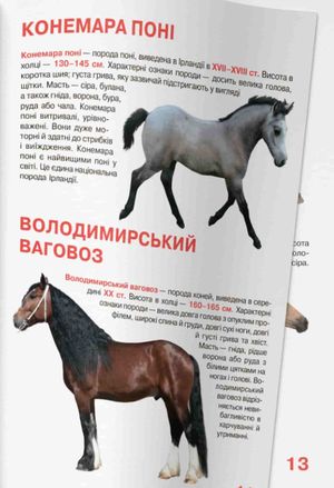 Велика книжка. Коні і поні — Олег Завʼязкін, фото 11