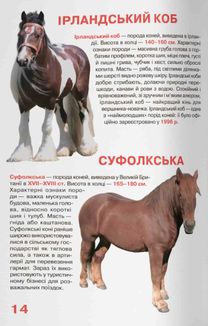 Велика книжка. Коні і поні. Image №11