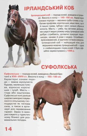 Велика книжка. Коні і поні — Олег Завʼязкін, фото 12