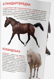 Велика книжка. Коні і поні. Image №12