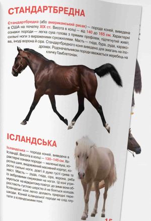 Велика книжка. Коні і поні — Олег Завʼязкін, фото 13