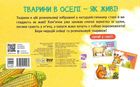 Розмальовка з тваринами. Тварини в оселі. Image №2