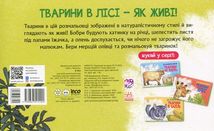 Розмальовка. Тварини в лісі. Image №3