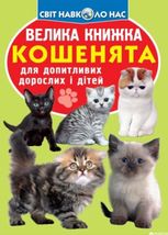 Велика книжка. Кошенята