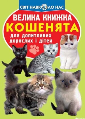 Велика книжка. Кошенята — Олег Завʼязкін, фото 4