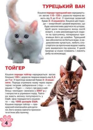 Велика книжка. Кошенята — Олег Завʼязкін, фото 5