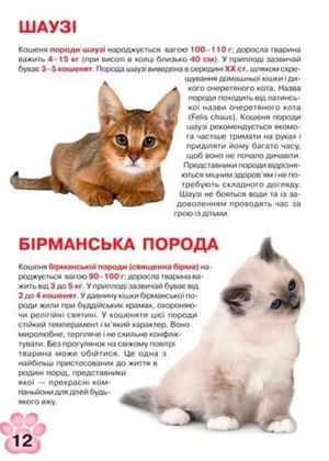 Велика книжка. Кошенята — Олег Завʼязкін, фото 7