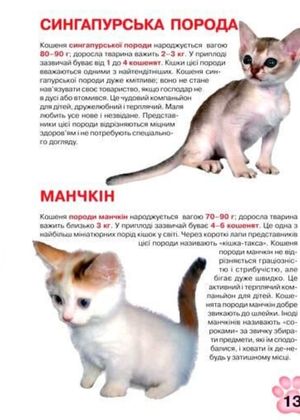 Велика книжка. Кошенята — Олег Завʼязкін, фото 8