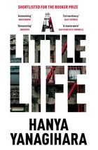 A Little Life. Зображення №1