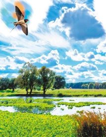 Читаю про Україну. Річки й озера. Image №5