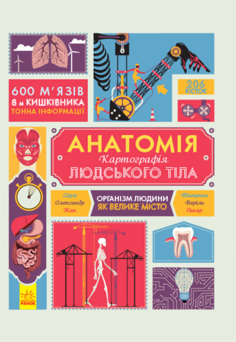 Анатомія. Картографія людського тіла