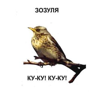 Хто як говорить. Серія "Карамелька" — фото 10